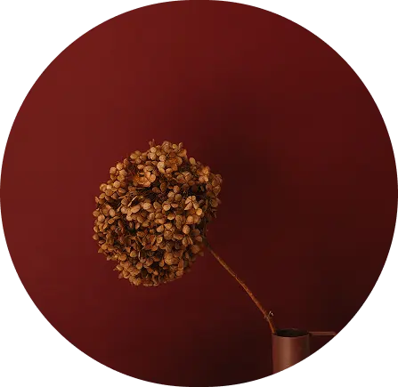 kaboompics_artistic-flower-arrangements-red-and-burgundy-floral-still-life-38893 1